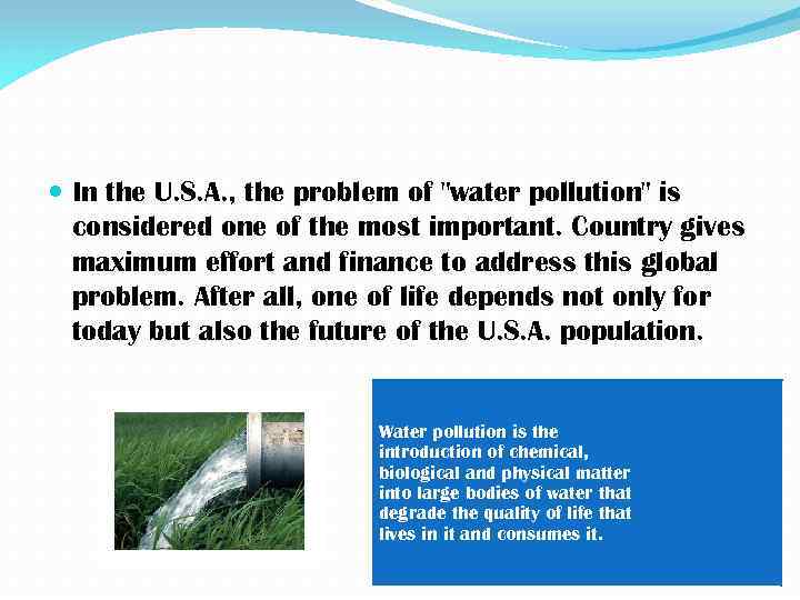 Water pollution USA work students 11 th grade