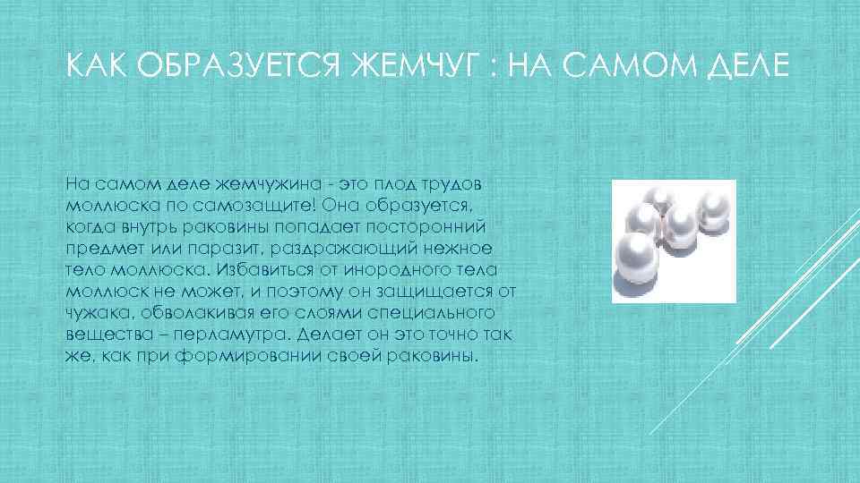 ЖЕМЧУГ Подготовила ученица 7 А класса Назина Анастасия
