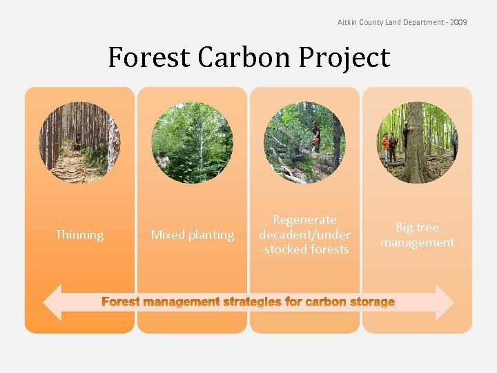 3 15 2018 www dovetailinc org Carbon Credits Ecosystem