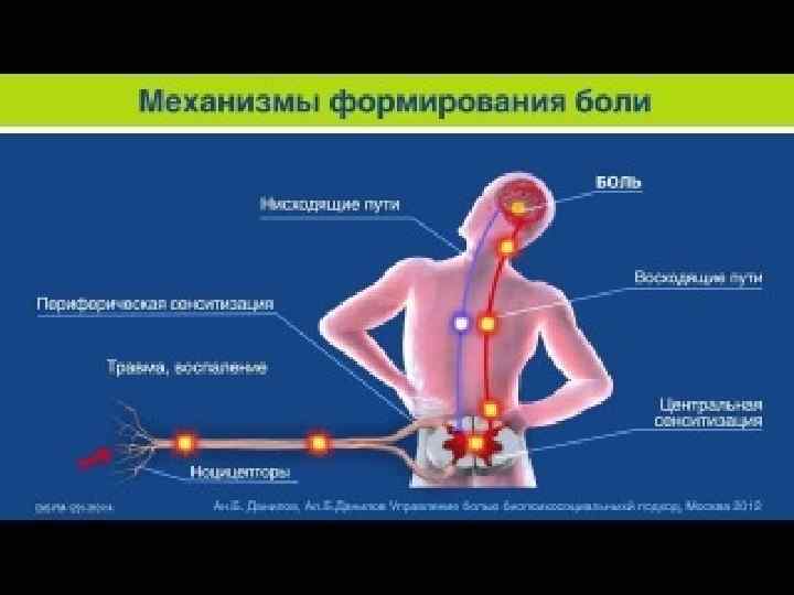 Синдром хронической тазовой боли 4 курс педиатрический фт