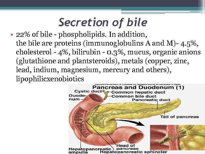 SIW Theme Physiology of properties and composition of
