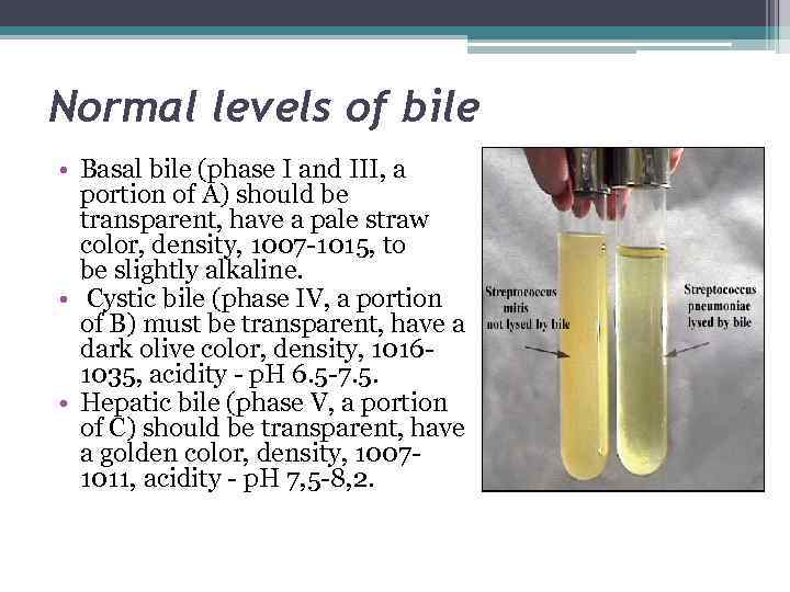 SIW Theme Physiology of properties and composition of