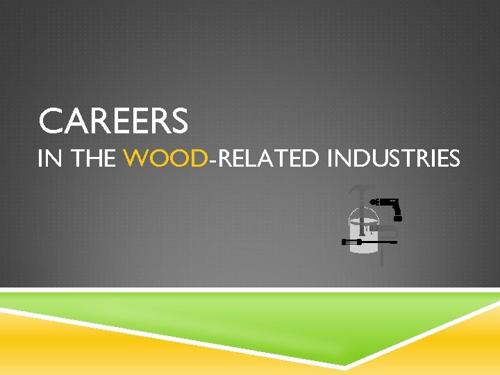 CAREERS IN THE WOODRELATED INDUSTRIES SEGMENTS OF