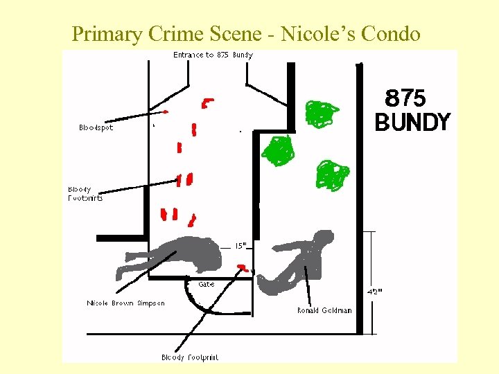Nicole Brown Simpson Ronald Goldman Double Murder
