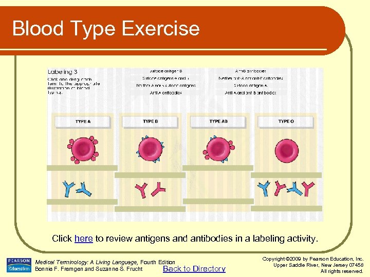 Medical Terminology A Living Language Chapter 6 Blood