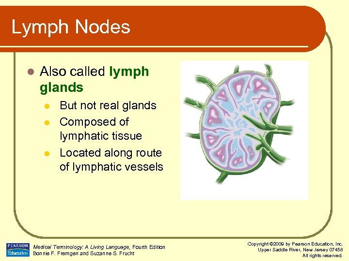 Medical Terminology A Living Language Chapter 6 Blood