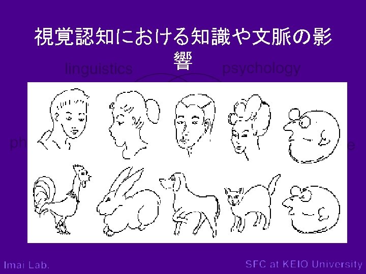認知と心理 視覚認知 慶應義塾大学 今井むつみ 私たちの 見ている ものは単なる 網膜に映った像ではない