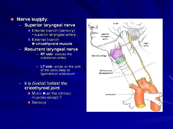 Diseases of larynx Dr Manal Bukhari King Saud