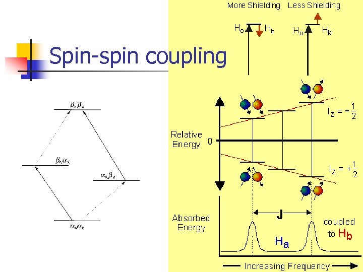 NMR Spectroscopy Part II Signals of NMR
