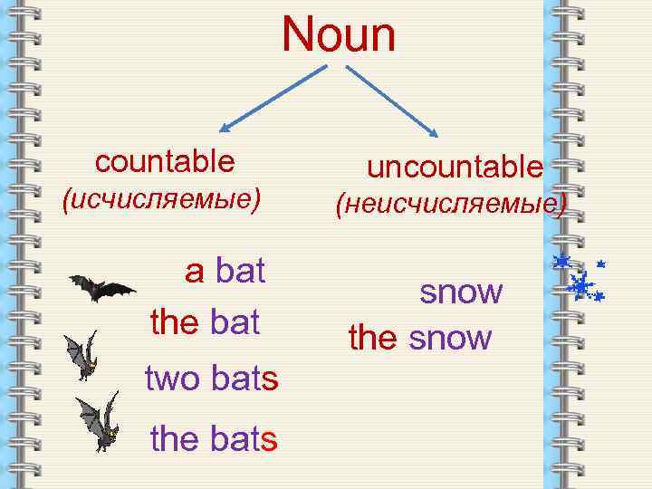 The Noun Noun countable исчисляемые a bat