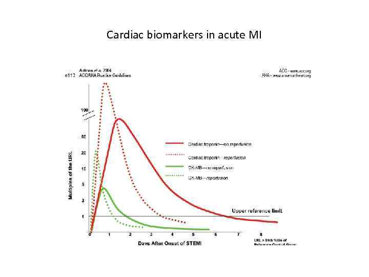 Cardiac biomarkers in acute MI Terms