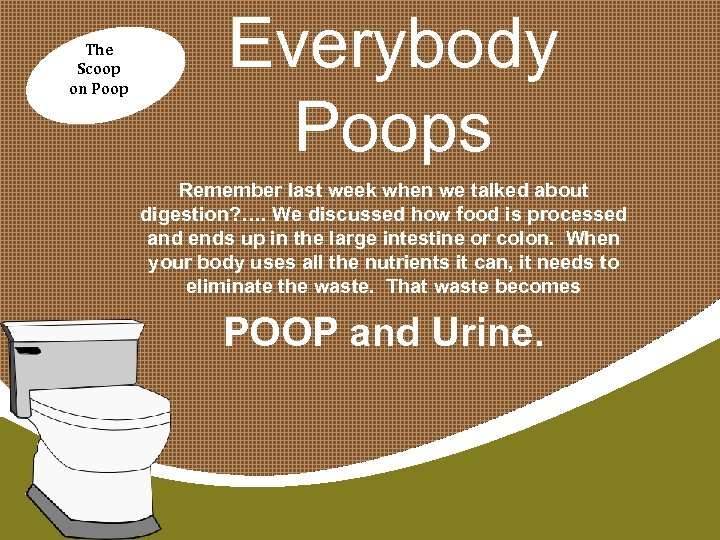 The Scoop on Poop Everybody Poops Remember last