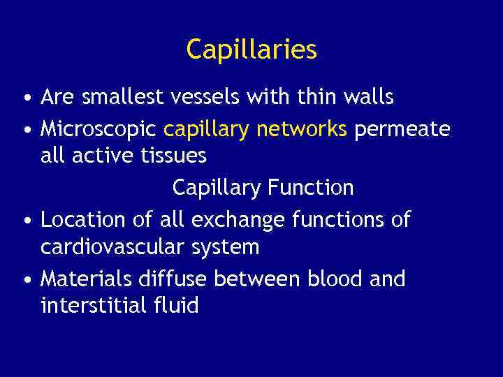 Chapter 21 Blood Vessels and Circulation Biol 141