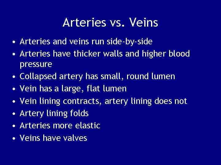 Chapter 21 Blood Vessels and Circulation Biol 141