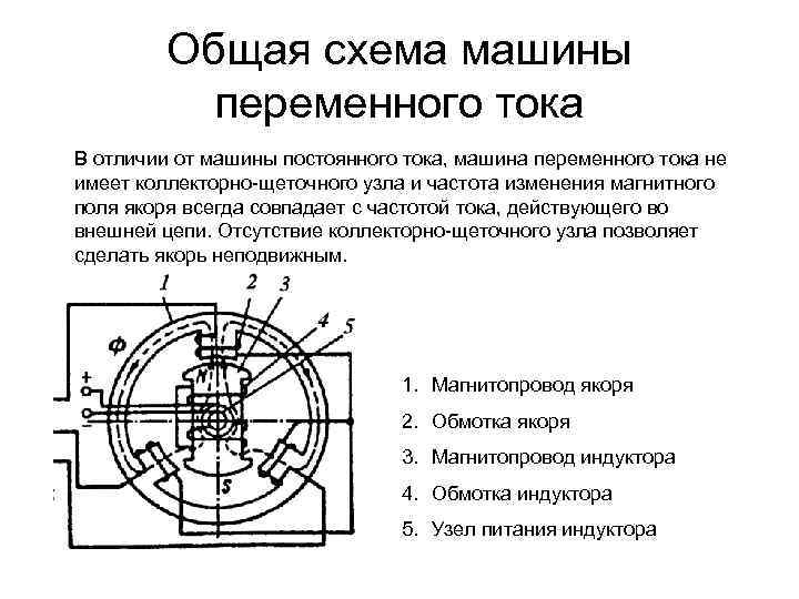 Электрические машины переменного тока Общая схема машины