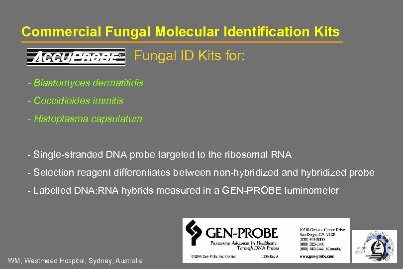 Molecular Techniques for the Identification of Pathogenic Fungi