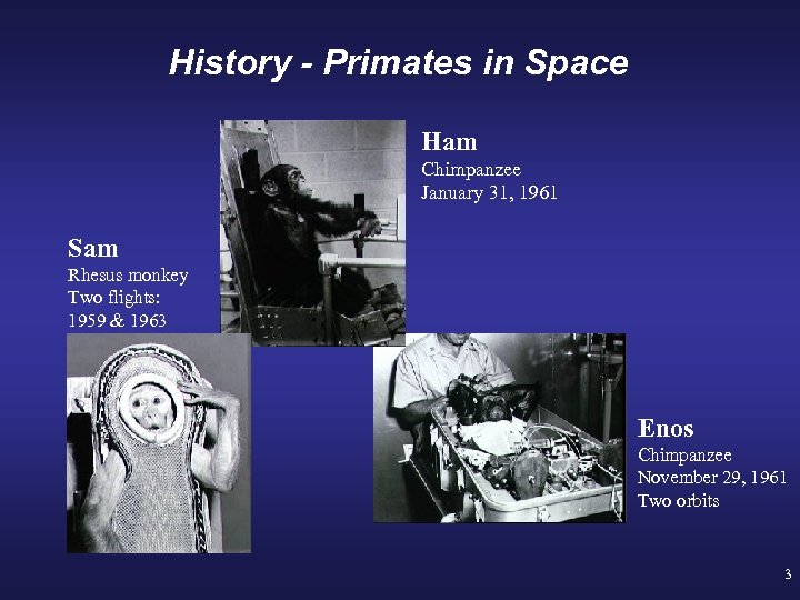 Organisms in Space Greg Leonard and Darren Hughes