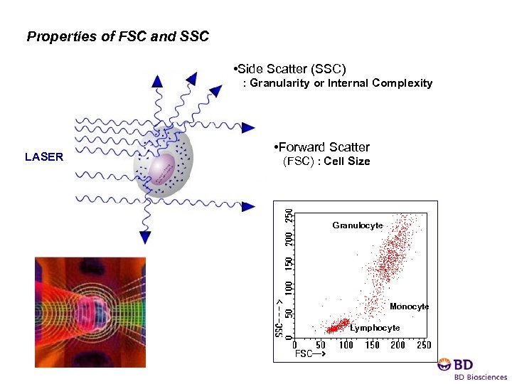 Flow Cytometry and its Applications I can