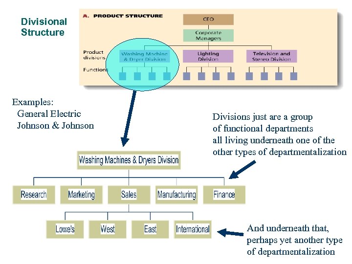 Organizational Structure and Design 1 The importance