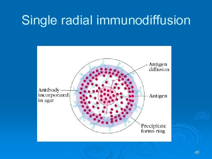Immunoprecipitation 1 Definition of Immunology Ø The