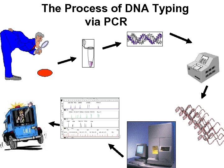 Advanced Topics in STR DNA Analysis Capillary Electrophoresis
