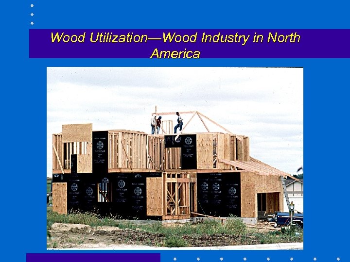 Wood Utilization Wood Industry in North America How