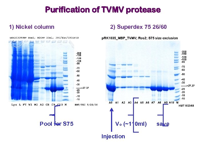 Expression Purification of Proteins August 24