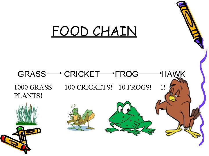 Ecosystems Learning Intention To be able