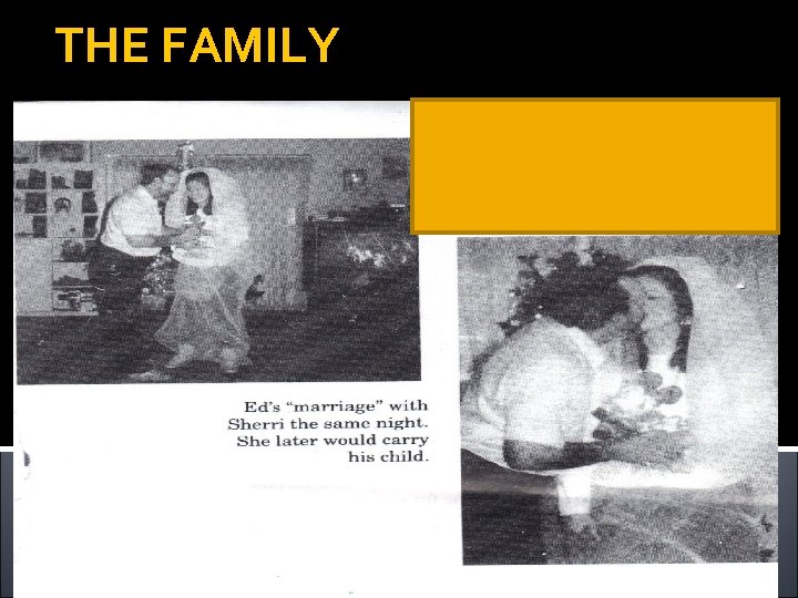 Miosotis Familia SEXTON FAMILY House of Secrets