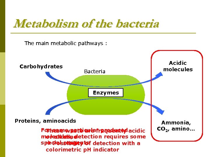 Bacterial identification Bacterial identification General approach for