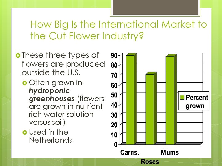 Lesson 1 Exploring the International Flower Market