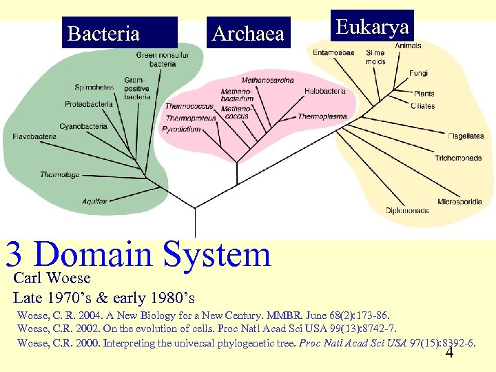 Classification of Bacteria Chapter 4 Taxonomy