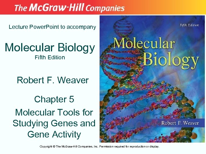 Molecular Biology 5th Edition Solutions and Answers