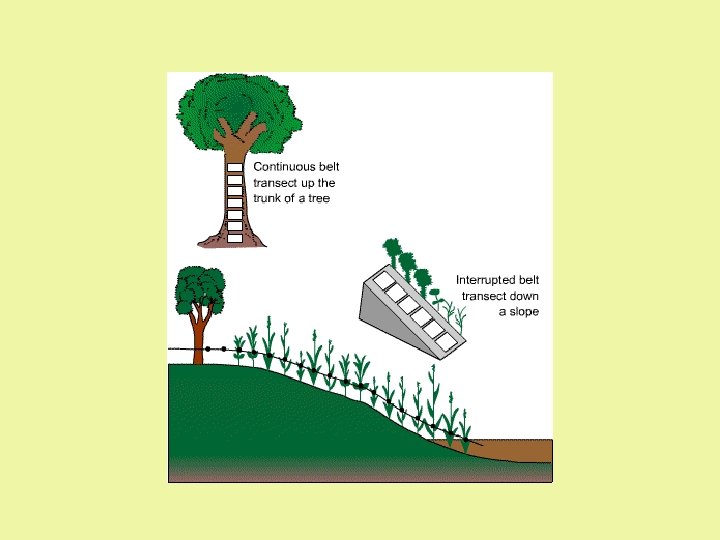 Biodiversity Sampling and Simpson s Index Definitions
