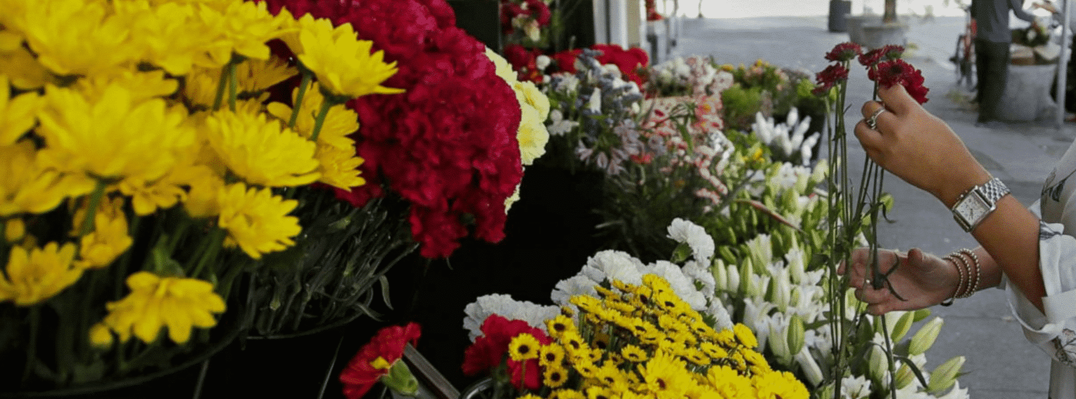 Flower Delivery Tripoli Lebanon 2021 Best Guide