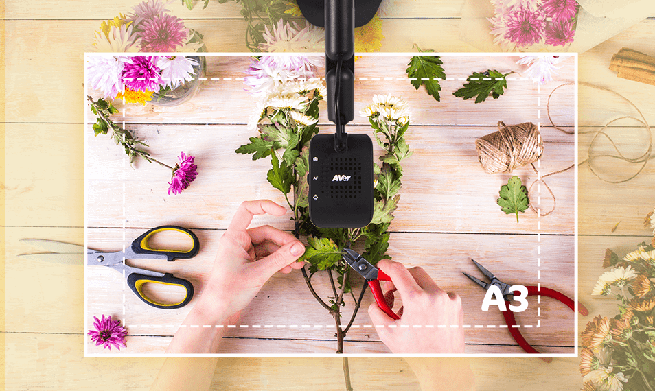 AVer Aver M5 Document Camera Education Solutions from AV Parts Master Ltd UK