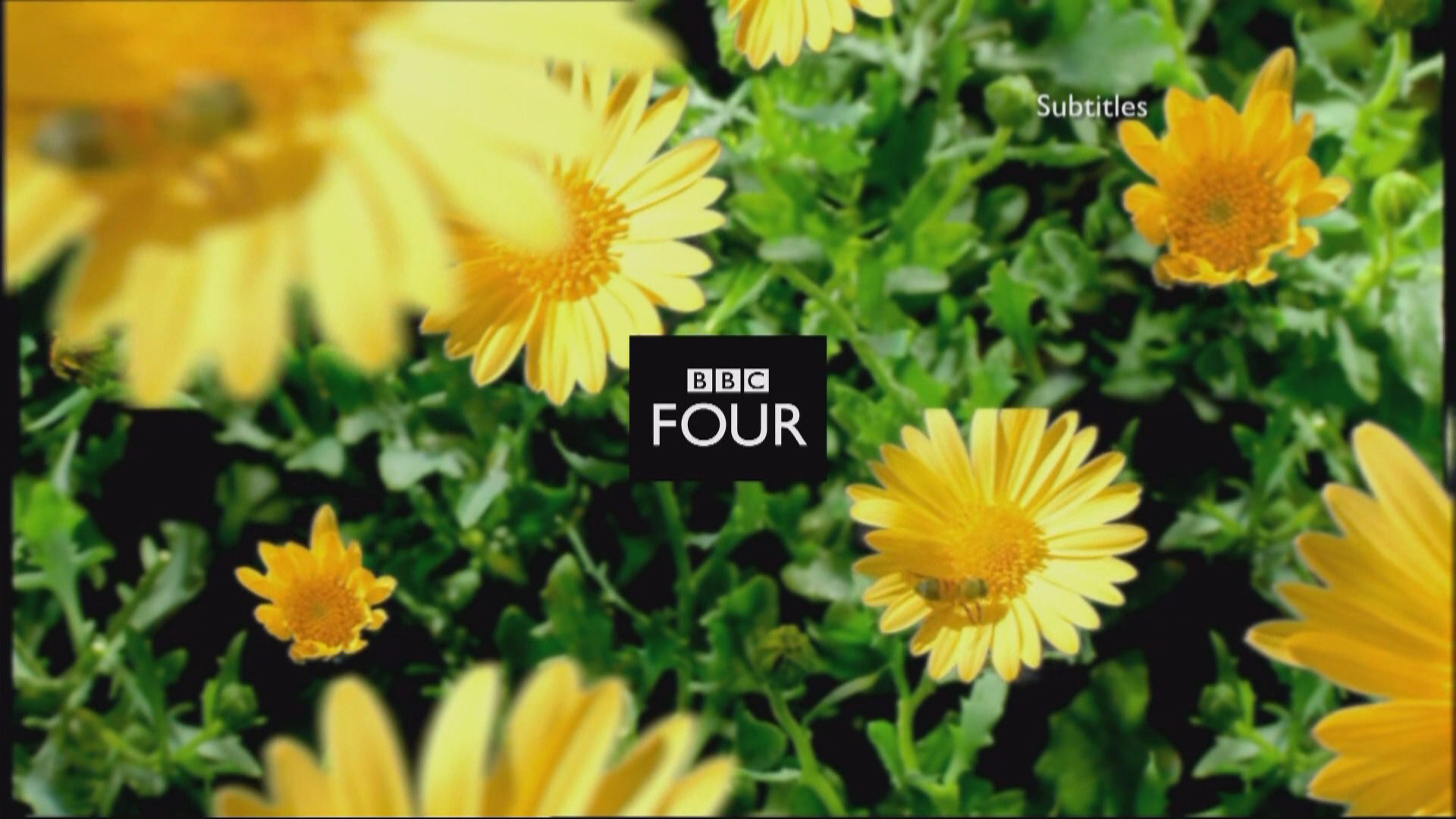 BBC Four 2005 Idents Presentation Archive