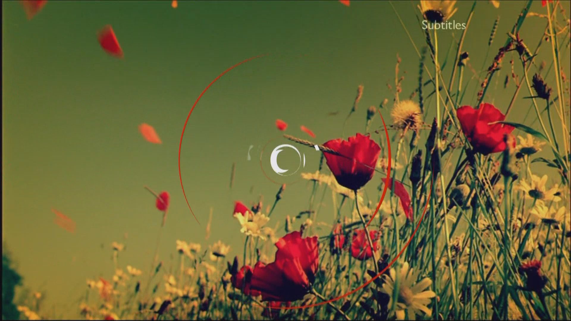 BBC One Channel of the Year 2015 Idents & Presentation