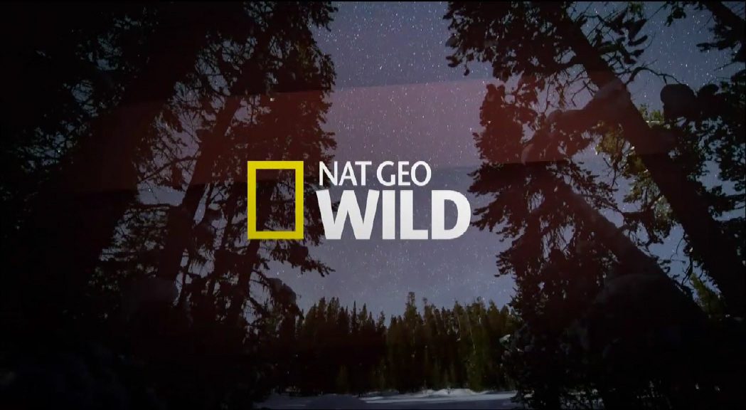 Nat Geo Wild 2015 Idents & Presentation
