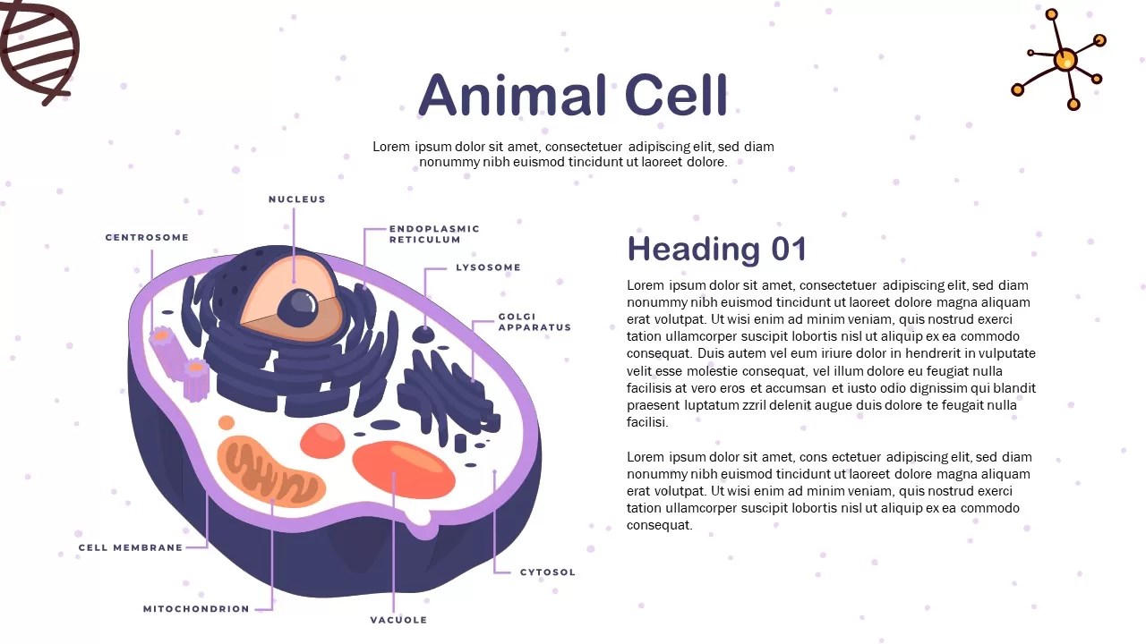 Biology Lesson Presentation Template Presentations Template