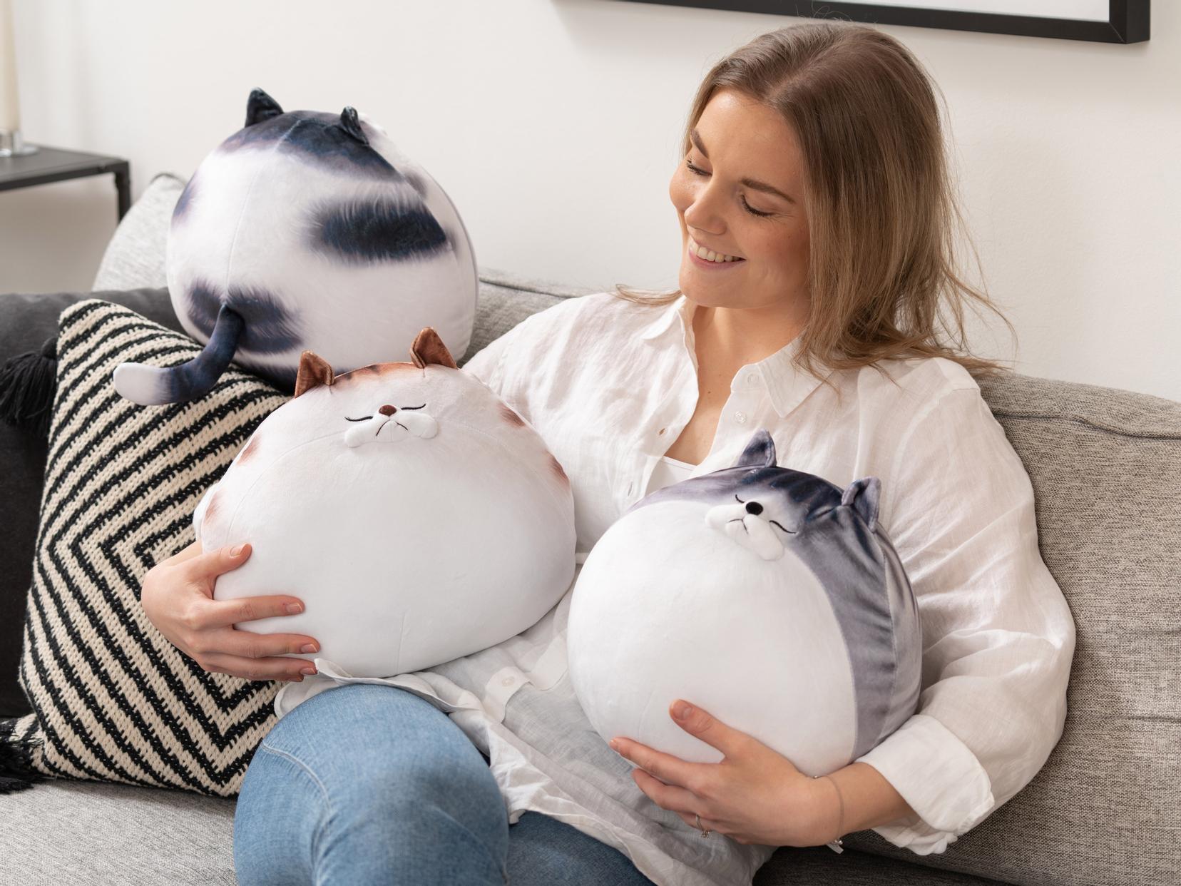 Världens Dyraste Kudde Knubbig Kattkudde Presenttipsaren