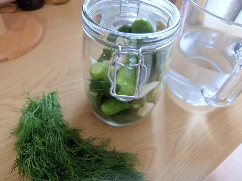 Fermented Pickles How To Make Fermented Dill Pickles Preserve & Pickle