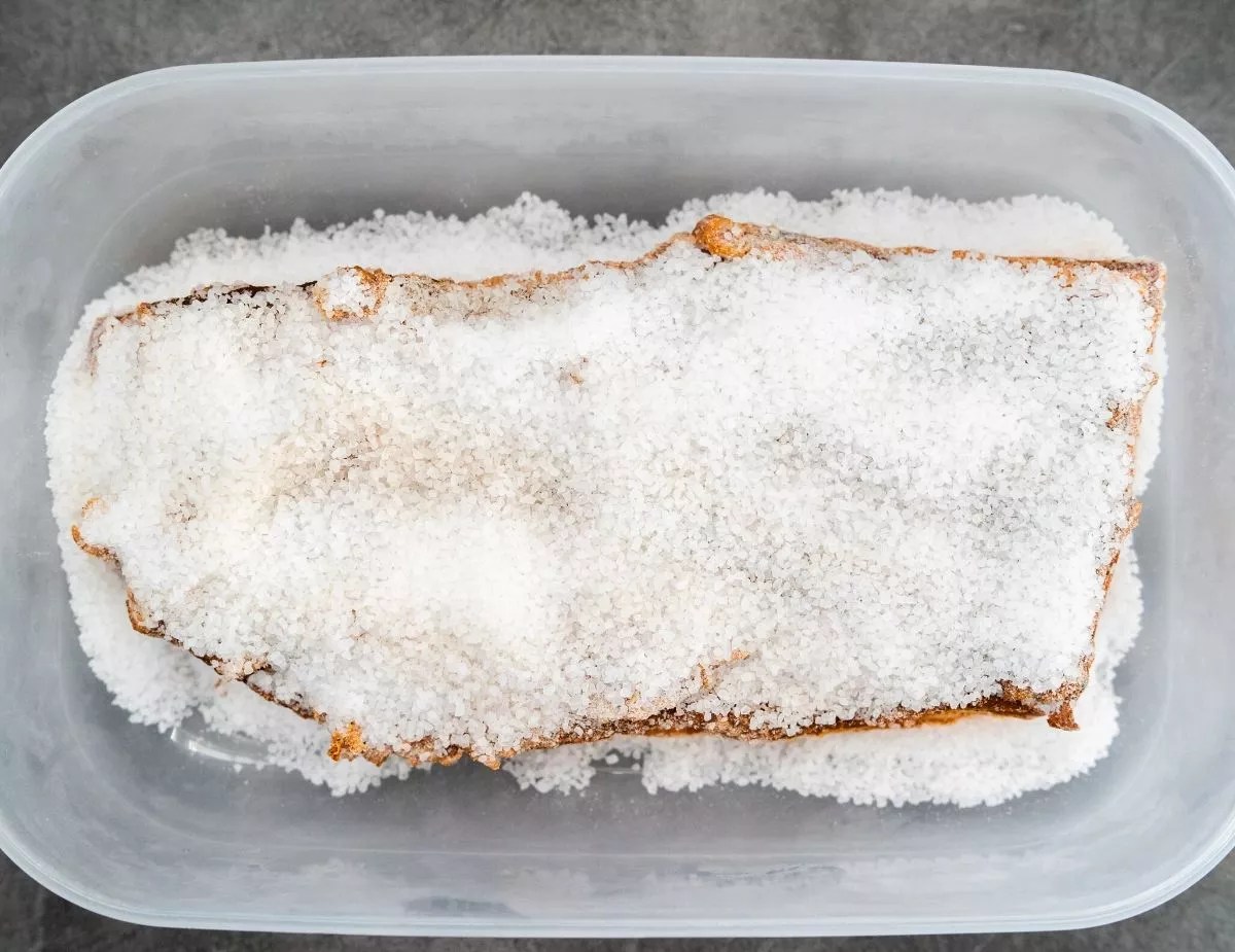 All The Names For Curing Salts! Preserve & Pickle