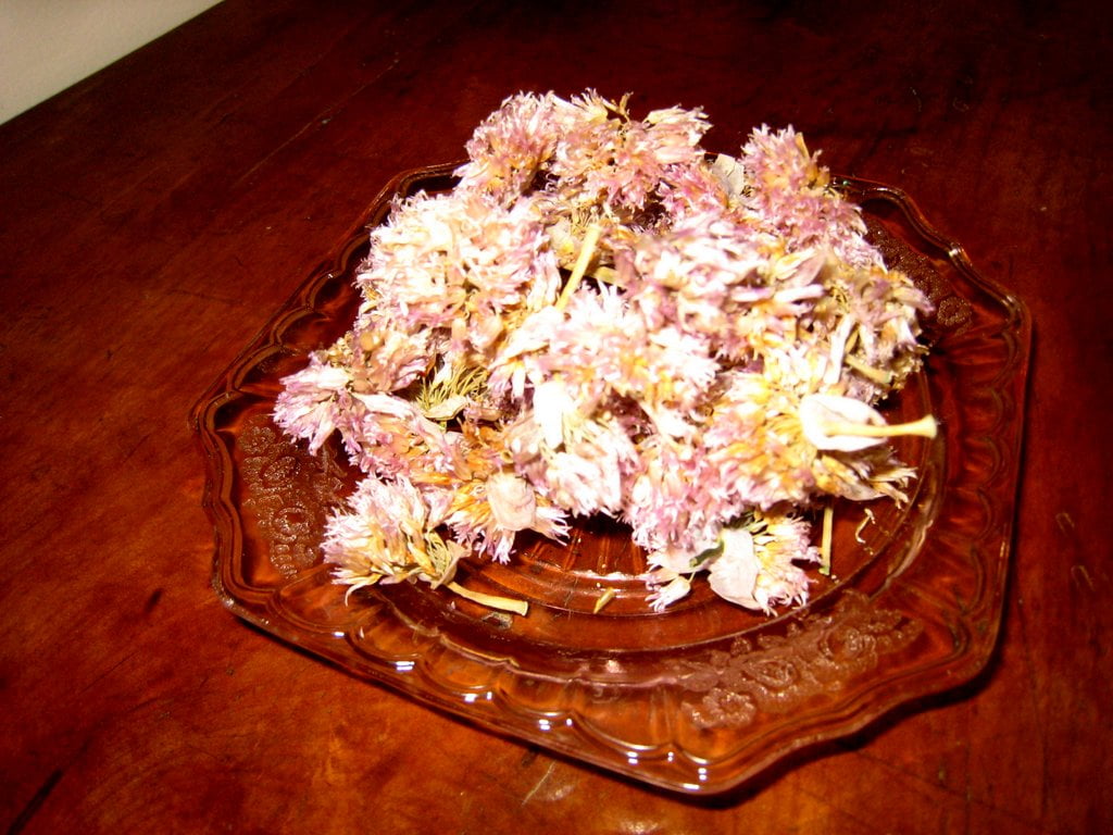 Tarragon Chive Flower Chicken Preserved Home