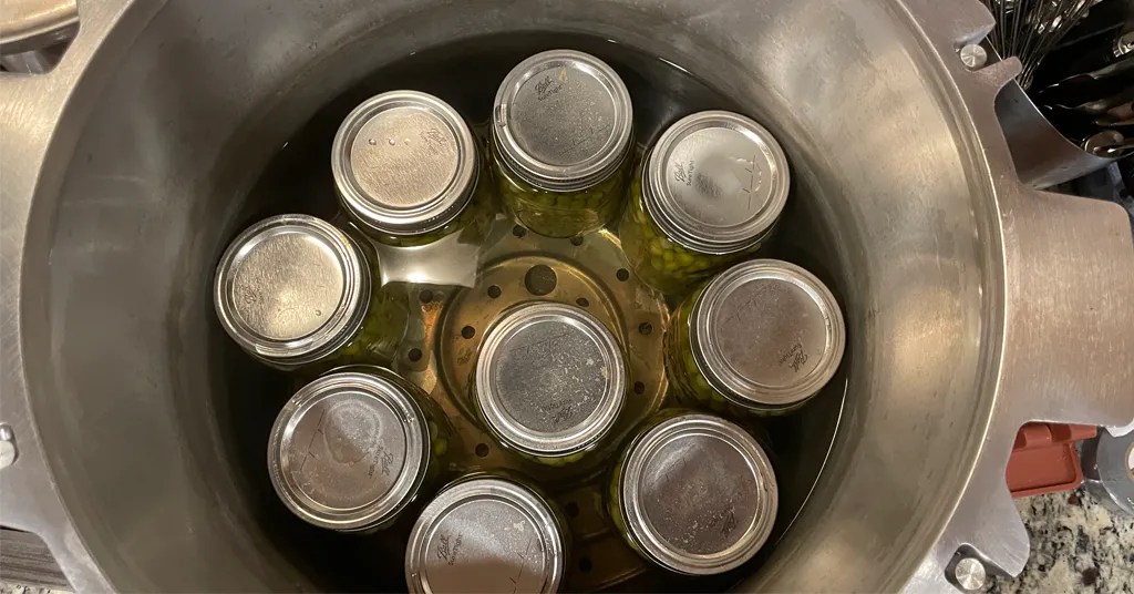 Canning Peas (Pressure Canning Recipe)