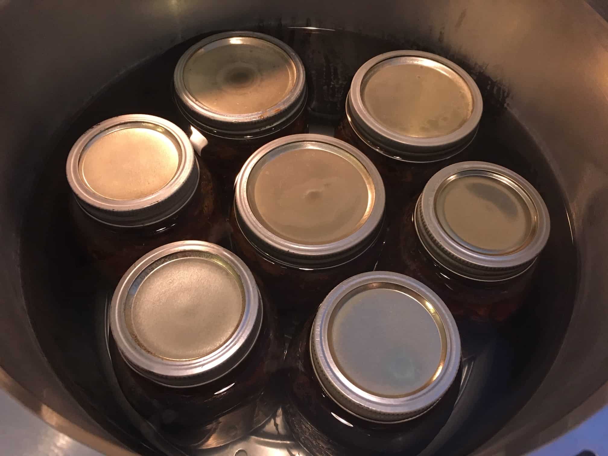 How to Pressure Can Venison Stew Meat Preserving My Sanity