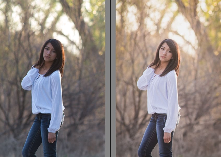 Soft Enhance Portrait Free Lightroom Preset Download PreseLove
