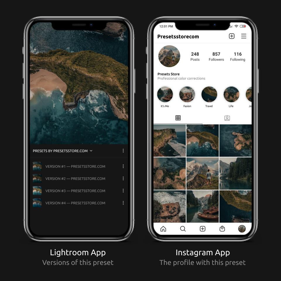 Muted Nature (SHORTSTACHE) Lightroom Preset — Presets Store