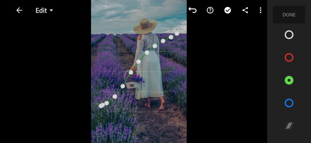 Lavender Free Lightroom Preset — Presets Store