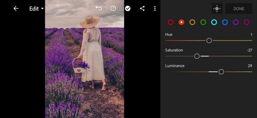 Lavender Free Lightroom Preset — Presets Store